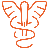 icon of a medical symbol