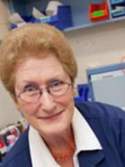 Dr Susan Sommerlad Dr Susan Sommerlad
