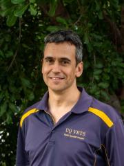 Dr Albert Sole Guitart