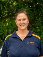 Dr Allison Stewart